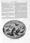 Thumbnail 0075 of St. Nicholas. May 1893