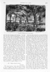 Thumbnail 0045 of St. Nicholas. February 1896