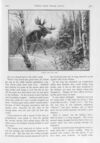 Thumbnail 0031 of St. Nicholas. March 1896