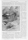 Thumbnail 0039 of St. Nicholas. March 1896