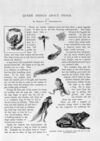 Thumbnail 0039 of St. Nicholas. September 1893