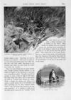 Thumbnail 0043 of St. Nicholas. September 1893