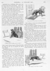 Thumbnail 0081 of St. Nicholas. December 1895