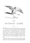 Thumbnail 0008 of Soaring lark