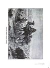Thumbnail 0319 of A family flight over Egypt and Syria