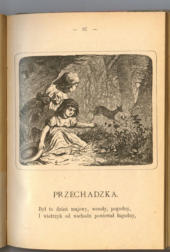 Scan 0105 of Bajki i powiastki Stanisława Jachowicza