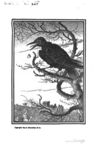 Thumbnail 0053 of The fables of Æsop