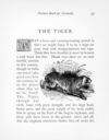 Thumbnail 0044 of Picture book of animals