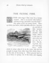 Thumbnail 0047 of Picture book of animals