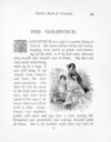 Thumbnail 0056 of Picture book of animals