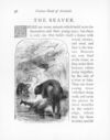 Thumbnail 0065 of Picture book of animals