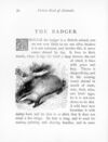 Thumbnail 0077 of Picture book of animals