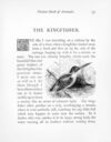 Thumbnail 0080 of Picture book of animals