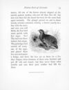 Thumbnail 0082 of Picture book of animals