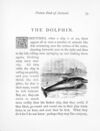 Thumbnail 0086 of Picture book of animals