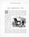 Thumbnail 0098 of Picture book of animals