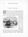 Thumbnail 0101 of Picture book of animals