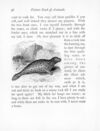 Thumbnail 0103 of Picture book of animals