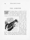 Thumbnail 0131 of Picture book of animals