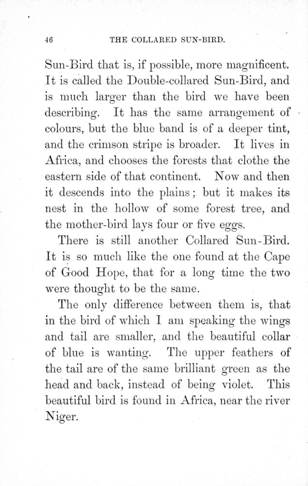 Scan 0048 of Birds of gay plumage