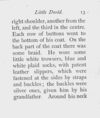 Thumbnail 0015 of The story of little David