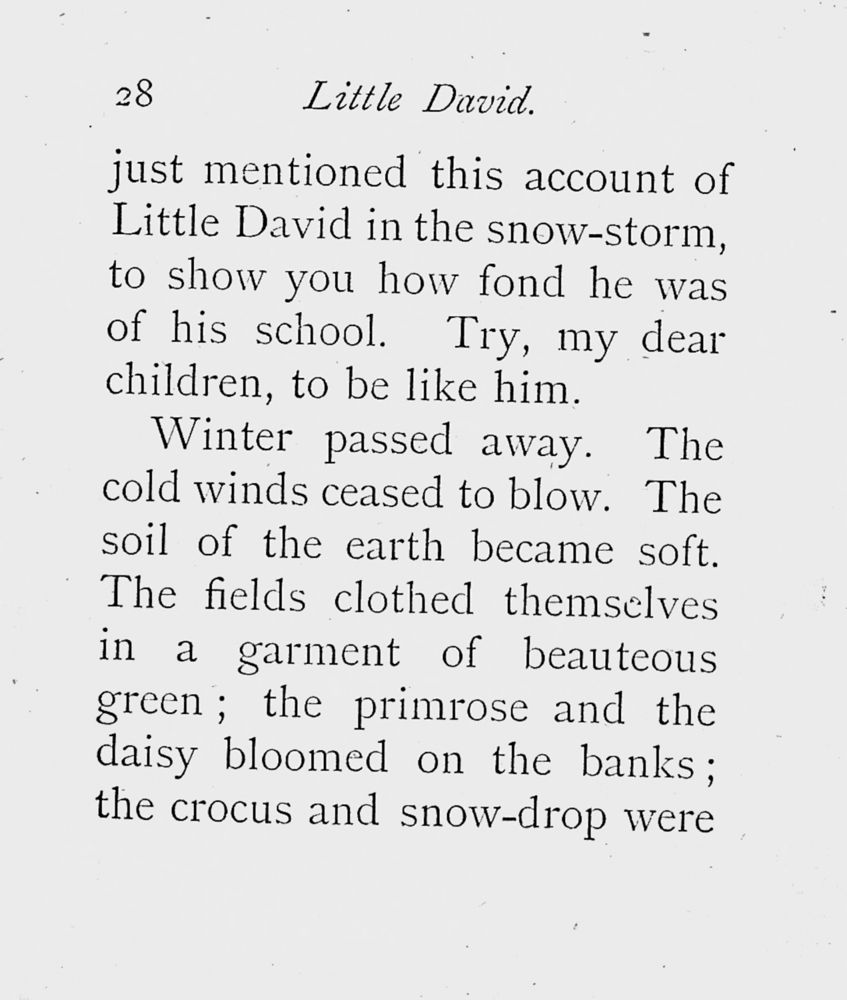 Scan 0030 of The story of little David
