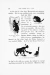Thumbnail 0027 of The story of a cat