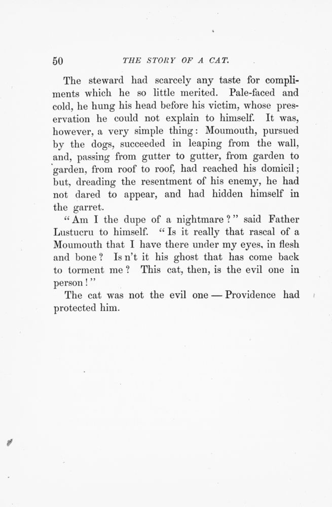 Scan 0055 of The story of a cat