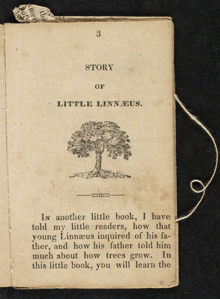 Scan 0005 of Story of little Linnaeus