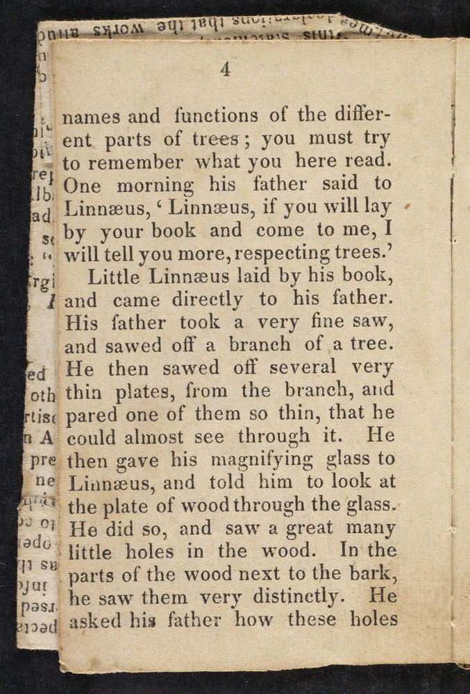 Scan 0006 of Story of little Linnaeus
