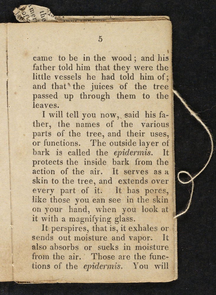 Scan 0007 of Story of little Linnaeus