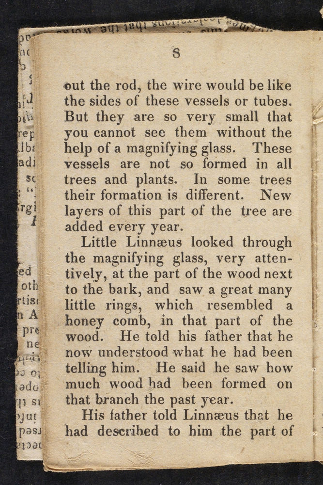 Scan 0010 of Story of little Linnaeus