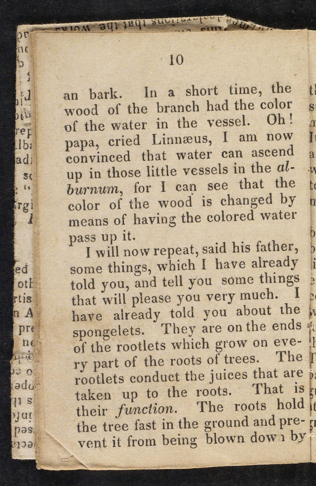Scan 0012 of Story of little Linnaeus