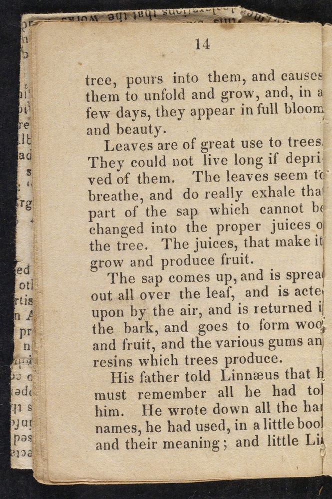 Scan 0016 of Story of little Linnaeus