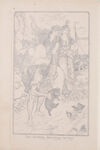 Thumbnail 0008 of The grey fairy book