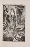 Thumbnail 0063 of The grey fairy book