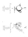 Thumbnail 0087 of Nonsense botany, and nonsense alphabets, etc. etc