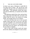 Thumbnail 0012 of Stories for young children
