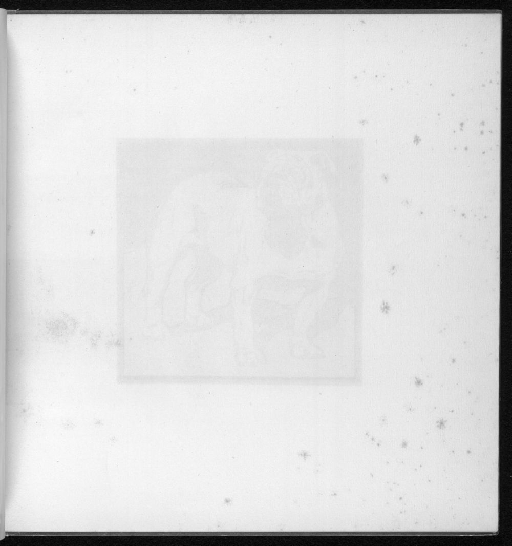 Scan 0009 of The square book of animals