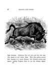 Thumbnail 0044 of Beasts and birds of Africa