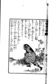 Thumbnail 0026 of 猿蟹後日譚