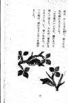 Thumbnail 0041 of 昆虫たちの国