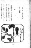 Thumbnail 0072 of 昆虫たちの国
