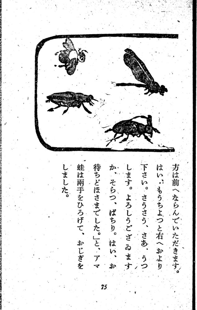 Scan 0081 of 昆虫たちの国