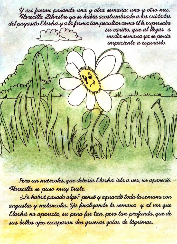 Scan 0011 of Florecilla Silvestre y el payasito Elarhú