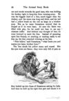 Thumbnail 0056 of The animal story book