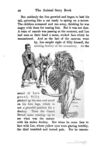 Thumbnail 0064 of The animal story book