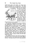 Thumbnail 0098 of The animal story book