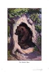Thumbnail 0137 of The animal story book