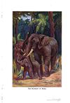 Thumbnail 0169 of The animal story book